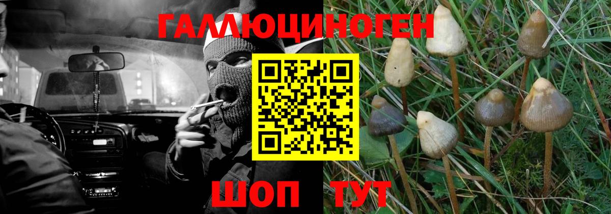 Псилоцибиновые грибы ЛСД Ростов-на-Дону
