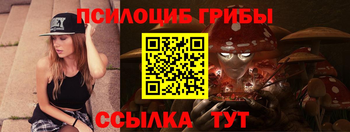 Ростов-на-Дону  Псилоцибиновые грибы прущие грибы  Вход с VPN 